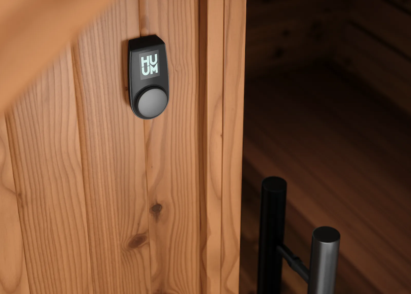 Chillfire Mulberry 6 sauna, view 7
